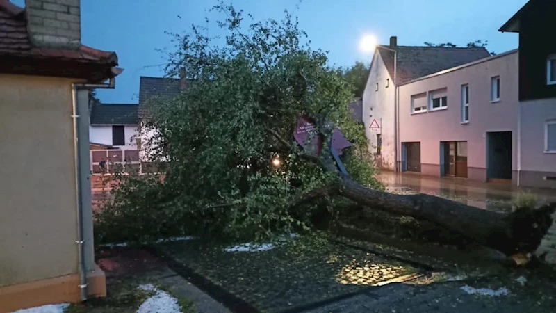 Almanya’da şiddetli fırtına ve dolu: 1 ölü